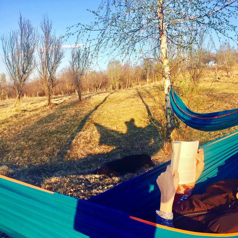 Pensiunea Gradina Ascunsa Bughea de Jos 外观 照片