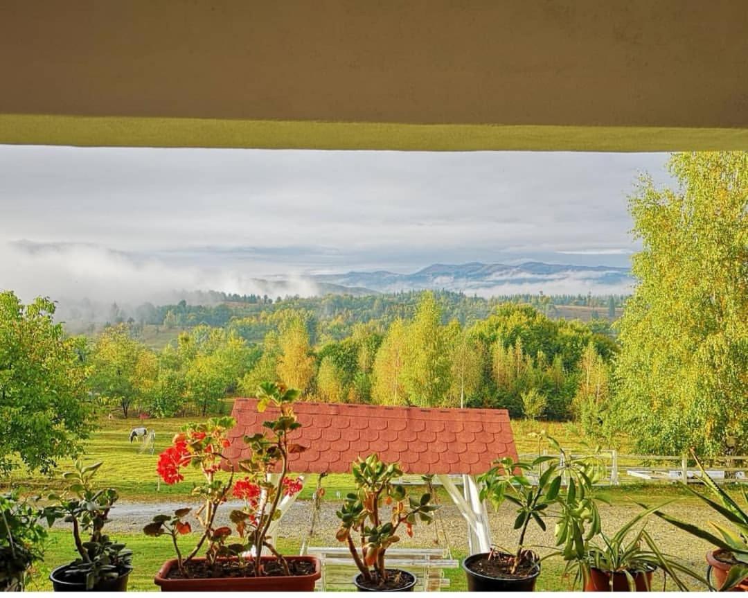 Pensiunea Gradina Ascunsa Bughea de Jos 外观 照片